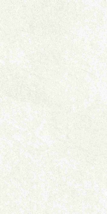 Dhara White Matte 12 x 24